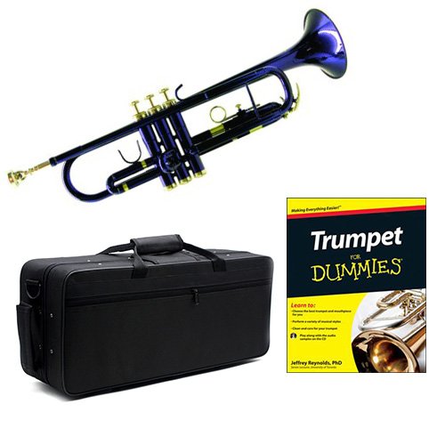 Best Classical Music For Dummies Music 2023 Where to Buy?