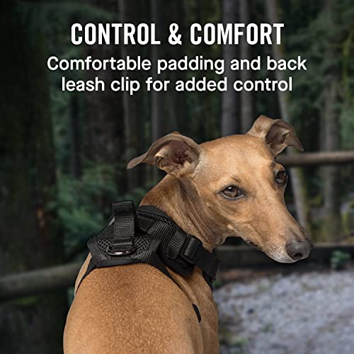 Canada Pooch Everything No Pull Dog Harness - Easy Walk Harness for Dogs with Breathable Mesh Exterior, Adjustable Dog Walking Harness Great for Dogs Black - Size XL - Thumbnail 4