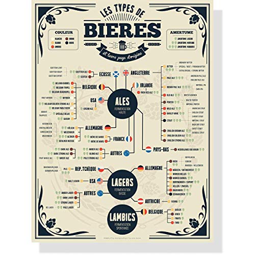 Frog Posters — Affiche bière : les 73 types de bières du monde — Papier de qualité musée éco-responsable — 30x40cm, 50x70cm et 70x100cm (30 x 40 cm) Cover