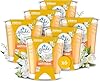 Glade Bougie Vegan Parfum Infusé Huiles Essentielles - Nouvelle Formule Sans Huile De Palme - Anti-Tabac - 6 Bougies