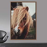Framed Canvas Wall Art Horse Animals Dramatic Farmhouse/Country Horse Living Room Multicolor Photography - 16x24 inches