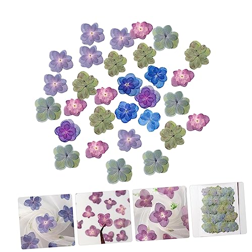 30 flores secas prensadas para manualidades DIY miniatura 3