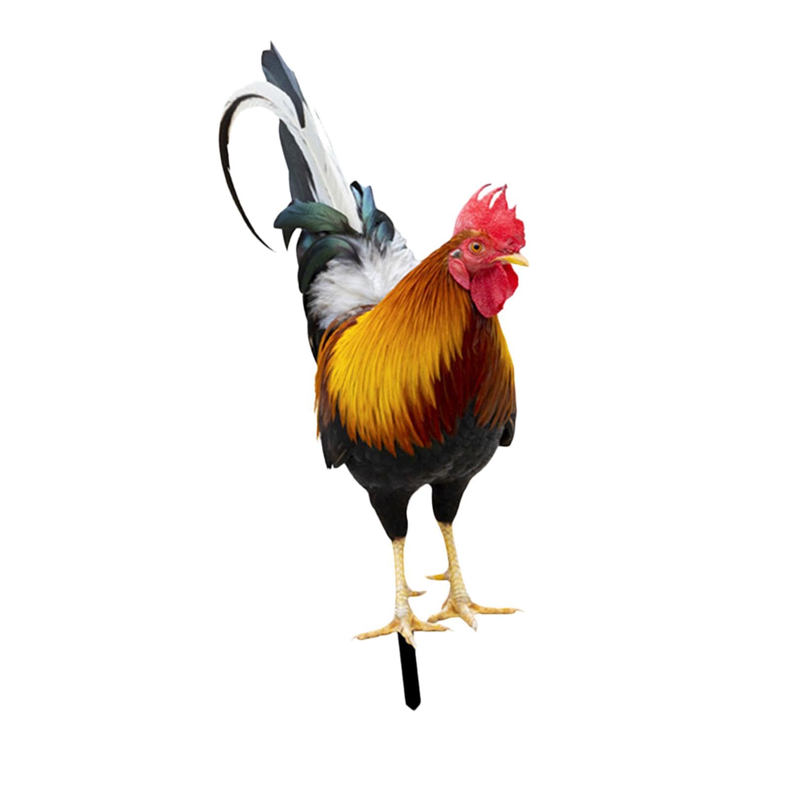 Rooster Statue Garden Stake Metal Realistic Yard Art for Patio Floor Outdoor 25x10.8x0.1cm | Home & Garden | Yard, Garden & Outdoor Living | Garden D?©Cor | Statues & Lawn Ornaments-image-37