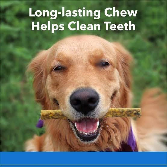 Red German Adult Natural Twisted Rawhide chew Sticks, Dog Treats for All Life Stages, munchy Sticks, Chicken Flavour, 1KG 4