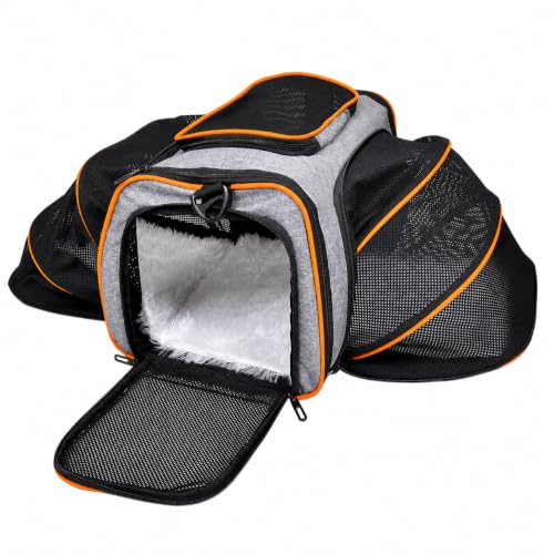 Image of BURAQ Astronaut Space Transparent Capsule Breathable Airline-Approved, Ventilate Transparent Carrier Backpack with Leash for Travel (Orange)
