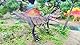 Zappi Co Kinder Spinosaurus Dinosaurier Figur Spielzeug (27cm Länge) Realistische Detaillierte Dino Sammlung Action Figuren