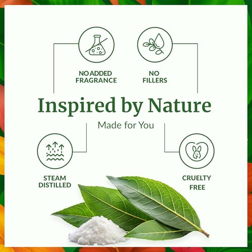 Image of SVA Camphor Essential Oil, Huge Bottle, Large Size, 16 Fl Oz (473 ml) | Camphor Oil for Diffuser, Humidifier, Steam, Spray, Body Massage, Hair, Skin, Soap Making, Candle Making & DIY Blending