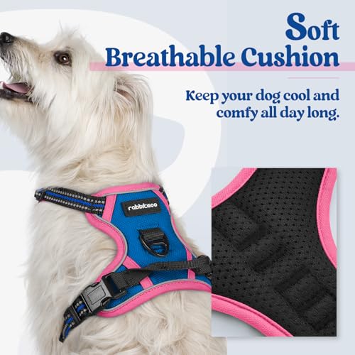 Image of rabbitgoo Dog Harness No Pull with 2 Leash Clips, Adjustable Soft Padded, Reflective Oxford No Choke Pet Vest with Easy Control Handle for Large Dogs, Blue & Hot Pink, XS