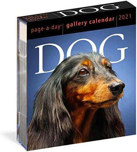 Dog Page-A-Day Gallery Calendar 2021