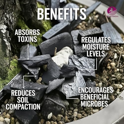 Image of Divayanshi Premium Charcoal Briquettes | All-Natural Long-Lasting BBQ Charcoal for Grilling & Cooking | Includes Fire Starter Cubes | Outdoor Foldable Barbecue Grill for Camping & Picnics (10 kg)