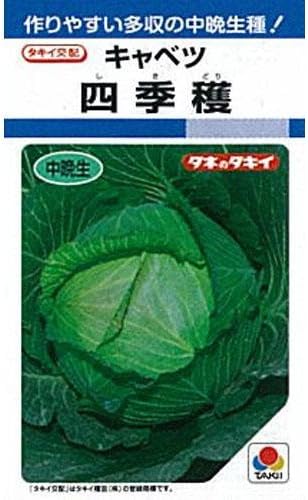 Amazon タキイ種苗 キャベツ 四季穫 Aca022 花