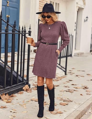 Image of Zeagoo Women Fall Winter Dress Knitted Pullover Dresses