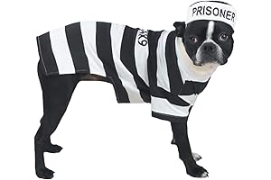 Mailman Dog Costume for Small Dogs: Pawsome Postal Fun