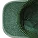 The Hat Depot 100% Cotton Pigment Dyed Low Profile Dad Hat Six Panel Cap (1. Green)