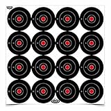 Birchwood Casey Non-Adhesive Dirty Bird Bull's-Eye Small Targets Practice Shooting for Indoor and Outdoor Use, 3' - 12 Sheets, 192 Targets