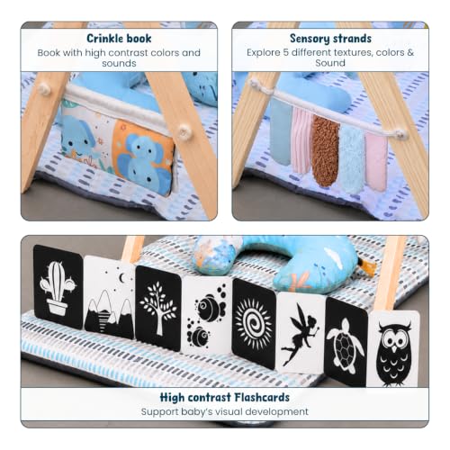 Image of Tiny Explorer's Play Gym by Little Minds at Work | Baby Play Mat for 0 to 2 Years | Sensory Play & Motor Skill Development for Babies | Crinkle Toys, High-Contrast Cards | Soft & Baby-Safe Materials