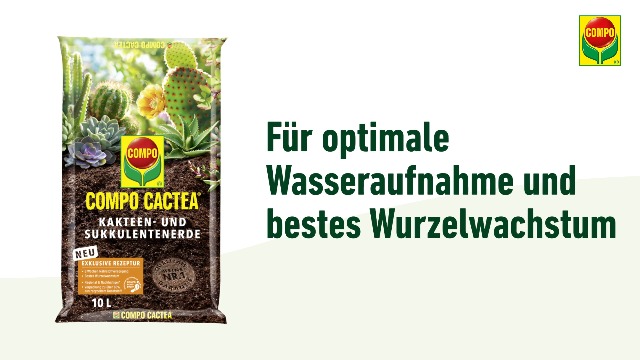 organischer dünger für gräser Gräserdünger kaufen – Spezialdünger main image 0