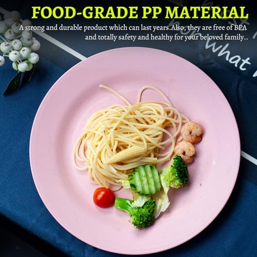Orrdiffi Kunststoff Teller 25 cm Leichte Kunststoffplatten Unzerbrechliche Große Teller Mikrowellen und Spülmaschinenfest Speiseteller für Pizza,Pasta,Brot,Salat Plastikteller,Camping - Bunt