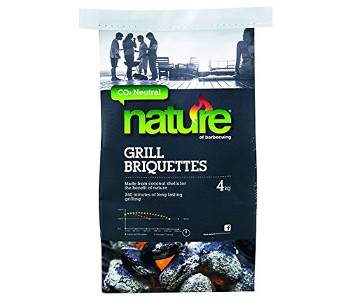 Briquettes de coque de noix de coco de 4 kg à haute performance calorifique et sans fumée
