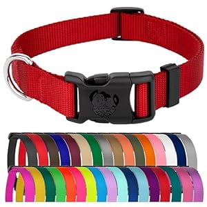 Country Brook Petz – American-Made Dog Collar for Large, Medium, and Small Dogs and Puppies – Deluxe Heavy Duty Nylon in 33 Dazzling Colors (Extra Large, 1 Inch Wide, Red)