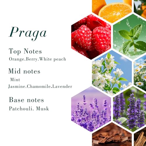 Siesta Praga Aceite Aromático para Difusor 500ml miniatura 4