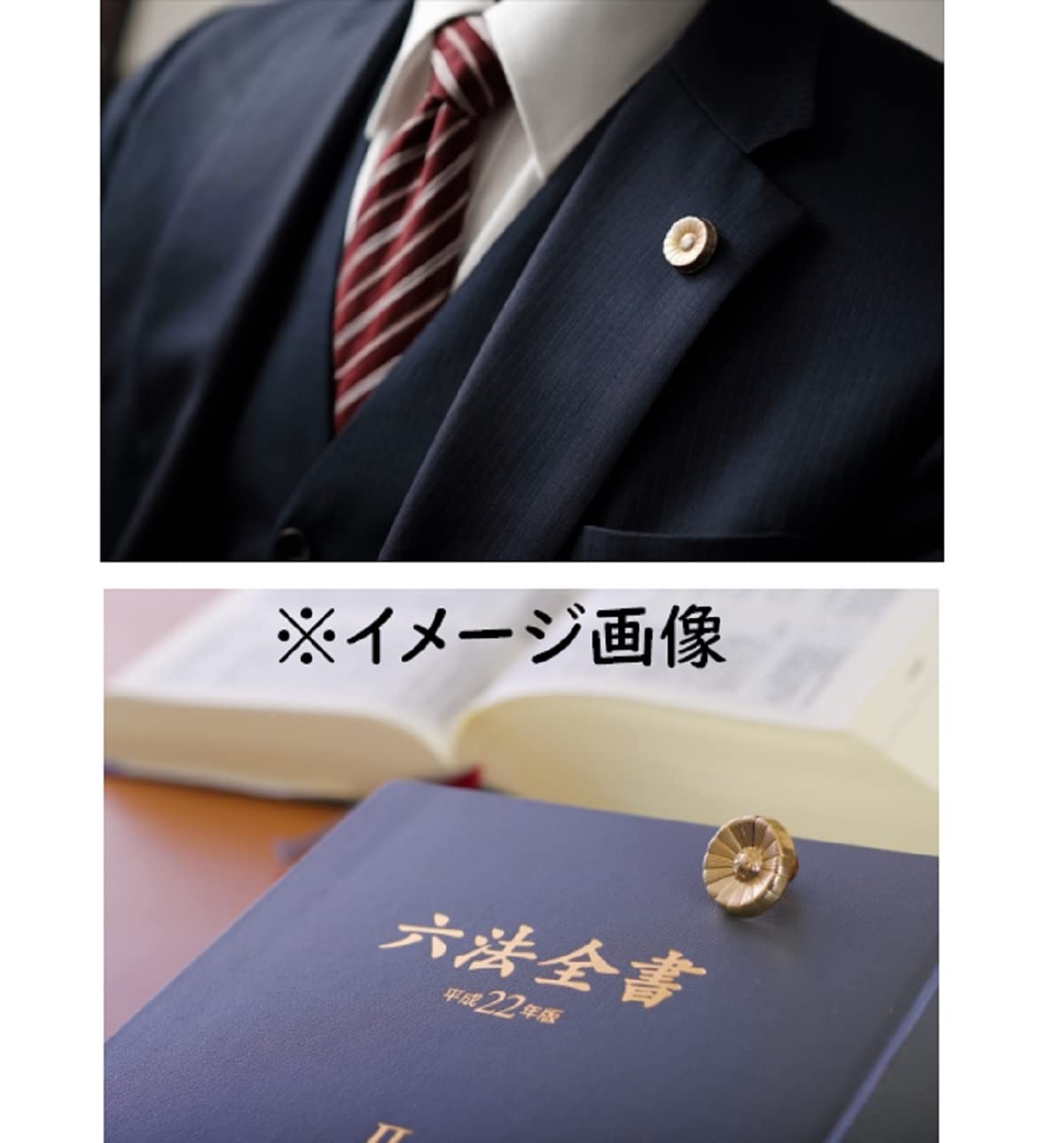 Amazon.co.jp: 弁護士バッジ レプリカ 刑事ドラマ 法廷裁判 舞台 演劇