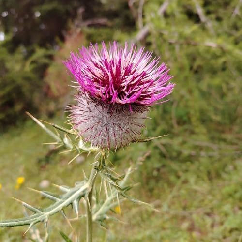 Episodio 32 - Il Sole Dentro yoga e respirazione