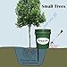 Tree I-V 3-pk Fill & Haul Root Feeder Watering System - Includes Plug & Lid - All Features of Base System with Additional Benefit of Reaching Remote Trees