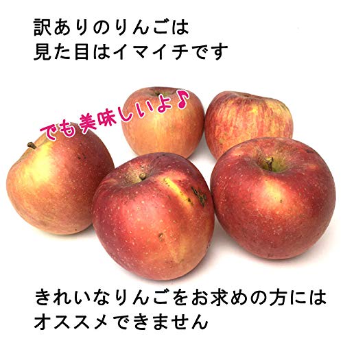 Amazon.co.jp: 訳あり 品種おまかせりんご 長野県産 10キロ : 食品