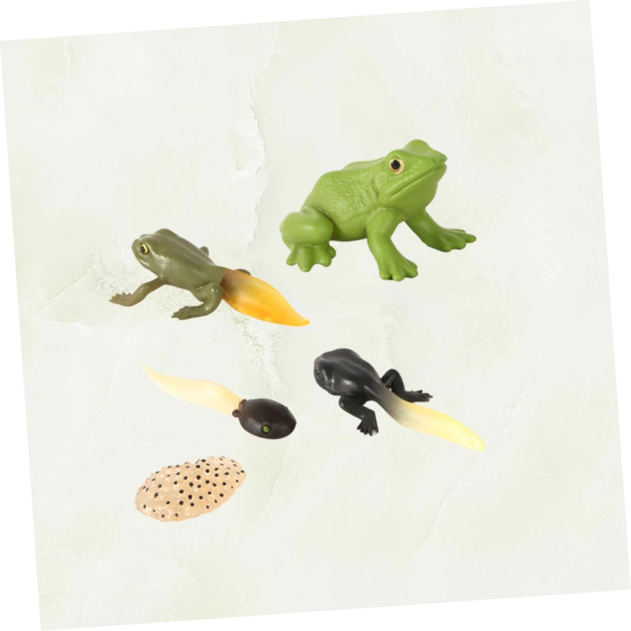 HEMOTON 5pièces Jouets Mécaniques à Remonter Motifs Coq