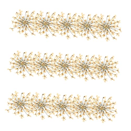 48 flores prensadas Margarita blanca para manualidades miniatura 1