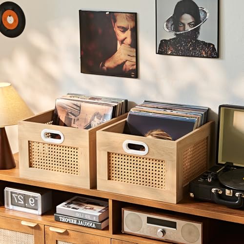 LELELINKY 2 Pack Vinyl Record Storage Crates, Rattan...