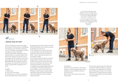 Leinenführigkeit: Der orientierte Hund