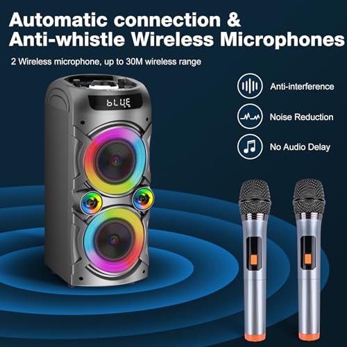 Machine à Karaoké A90-CA Double Entrée Audio TSP RCA et Deux Micros Inclus