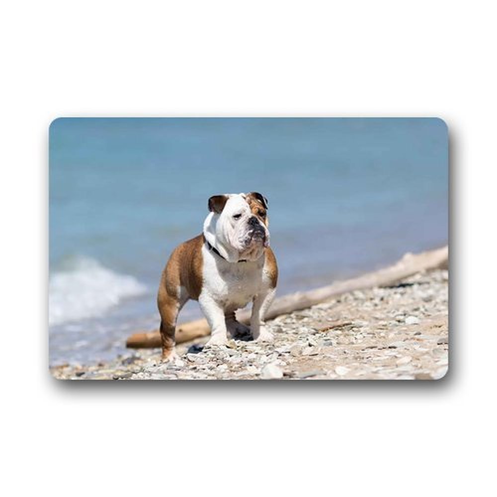 Shirley's Door MatsBulldog Background Doormat/Gate Pad outdoors/indoor Bathroom Kitchen Decor Area Rug/Floor Mat 23.6 X 15.7 Inch