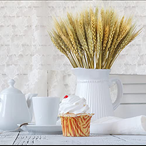 Cisdueo 100 Pcs Dried Wheat Stalks Bundle Grass Natural Dried Wheat Sheaves Stems Dried Flowers Arrangement Bouquet For Wedding Party Table Centerpiece Fall Harvest Wreath Boho Decor Farmhouse Diy thumb #3