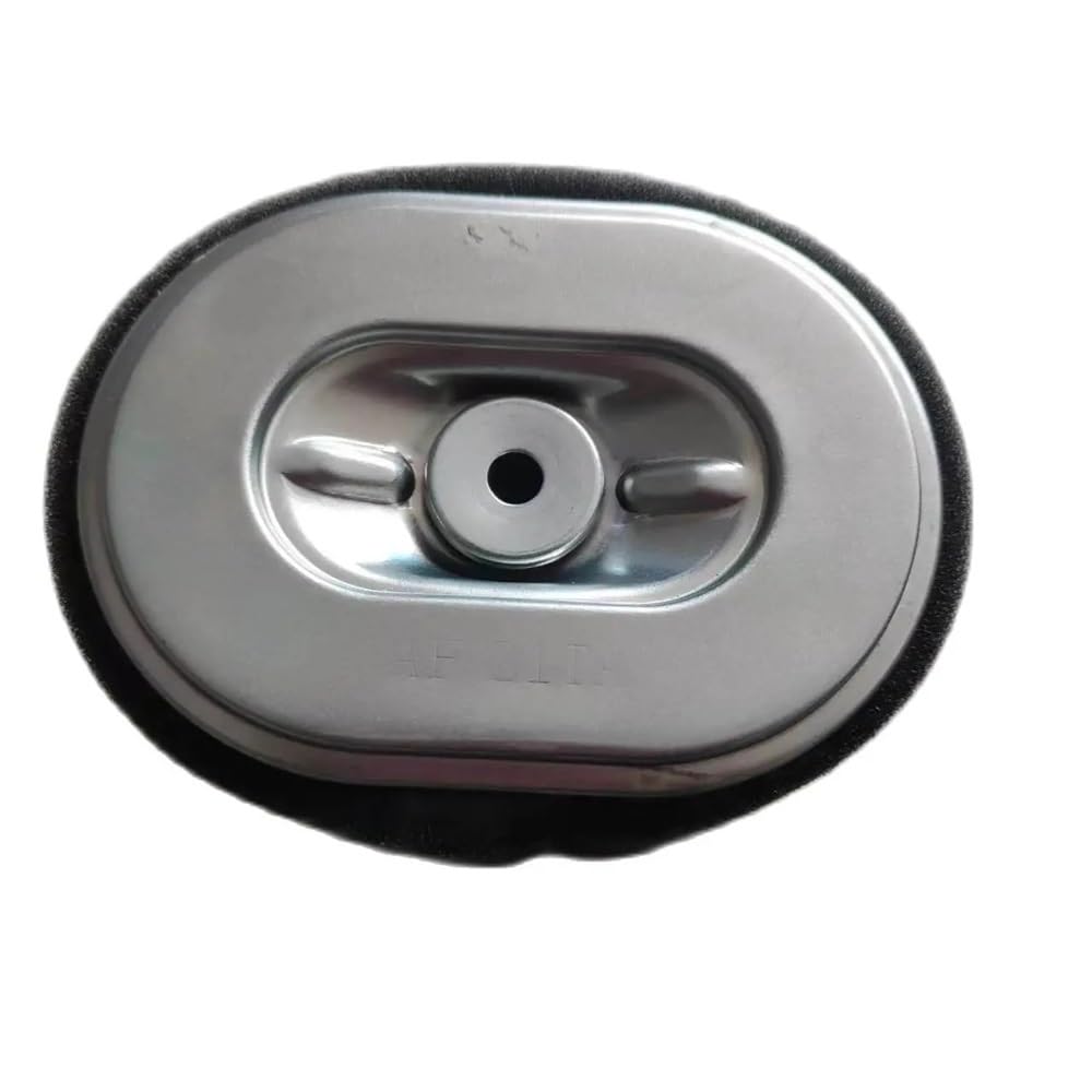 Amazon.com: Air Filter Af Z1ta Fit For Gx160 Gx200 Wb30 Wl30