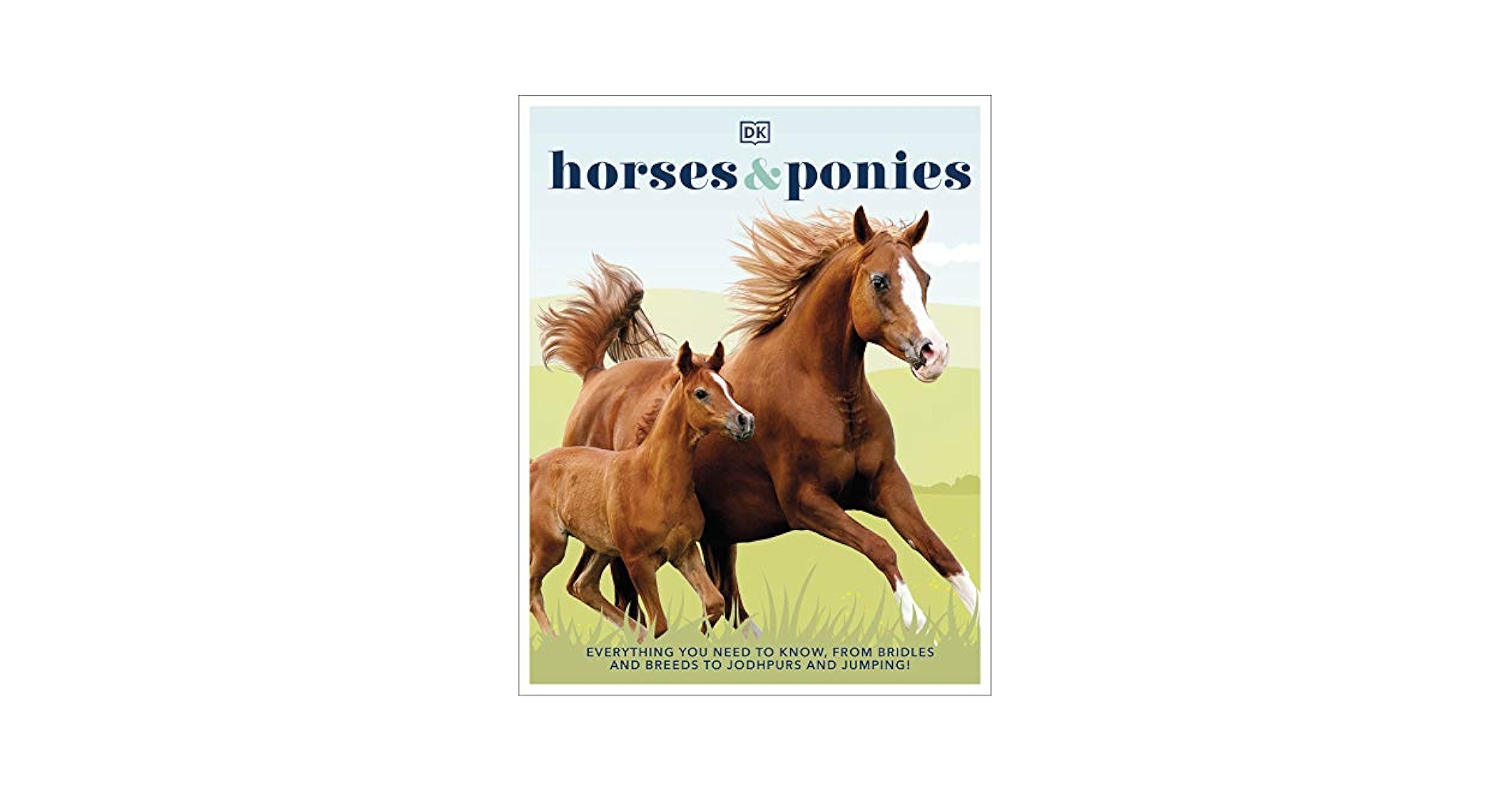Horses & Ponies: Everything You Need to Know, From Bridles