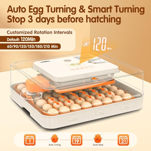 Incubator for Hatching Eggs, 56 Eggs Incubator with Automatic Egg Turning and Humidity Control, Auto Temperature Control, LED Egg Candler, Hatch Days Setting, for Chicken, Duck, Goose, Quail, Parrot by WONEGG - Image 3