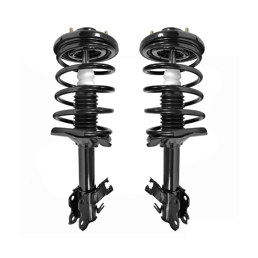 Front Complete Strut Assemblies with Coil Springs Replacement for 2002-2003 Nissan Maxima (Pair)