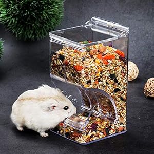 Hamsters Feeder Small Animals Automatic Dispenser Acrylic Clear Pet Food Storage Bowl for Dwarf Hamster Gerbils Mice Hedgehog Guinea Pig Pigeon Parrots (300ML)
