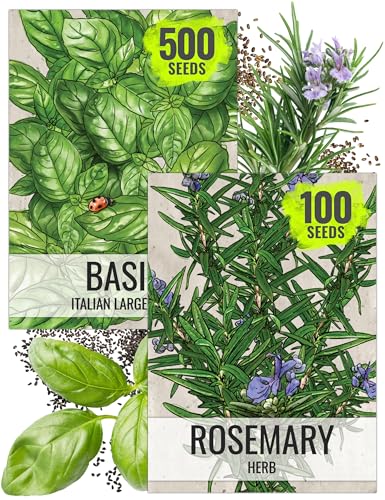 Seed Needs Rosemary Seeds & Basil Variety Pack of 2 Non-GMO Heirloom Herbs