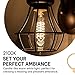 Hudson Bulb Co. Vintage Incandescent Edison Light Bulbs, 60W, E26/E27 Base, 2100K Dimmable Decorative Lights, ST58 Style Warm Glow, Antique Spiral Filament for Outdoor and Indoor Use - 6 Pack