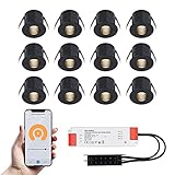 HOFTRONIC Betty - 12er Set Mini LED Einbaustrahler 12V Schwarz - Smart Home - WiFi + Bluetooth - IP44 Wasserdicht Dimmbar - 2700K Warmweiß - Google Home, Amazon Alexa & Siri - für Terrassendach & Bad