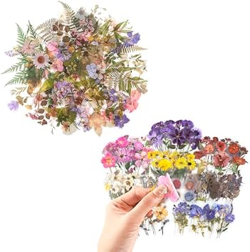 160pcs Pre-Cut Scrapbooks Natural Stickers and 320PCS Pre-Cut Floral Sticker Bundle Sale