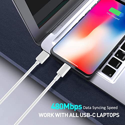 Image of DC-80 20W Type C to IOS Power Delivery PD Cable - works with iPhone 14,14 Pro,14 Pro Max,14 Plus,13,13 Pro,13 Pro Max,13 Mini,12,12 Pro, 11,11 Pro Max,12 mini (Type C to IOS -20W (DC 80))