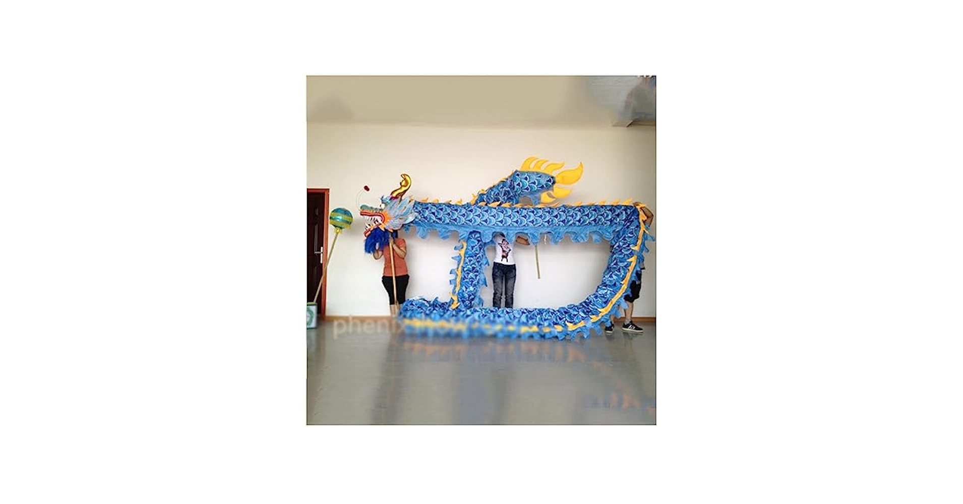 Amazon.com: ELJHY 4m Dragon Dance Costume Propsfor 4 Players