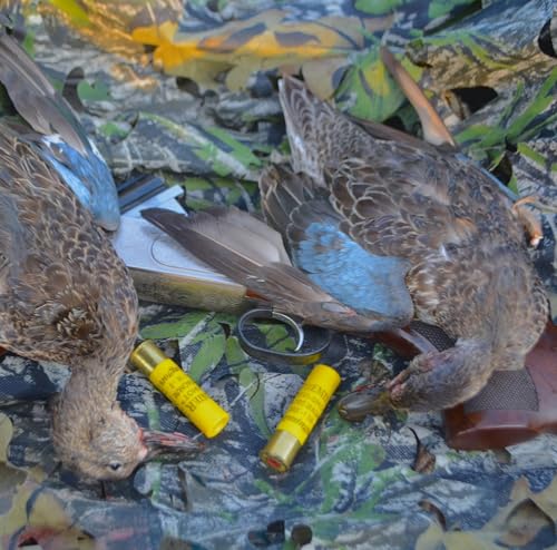 『215: Upcoming Seasons - Dove,Teal, Dee, Gigging,Turkey』のカバーアート