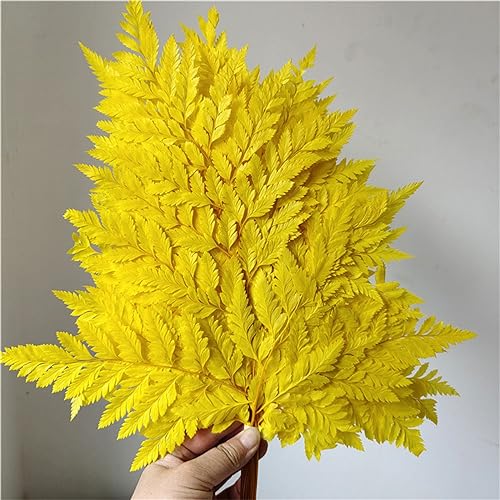10pcs Flores Secas Naturales para Decoración miniatura 5