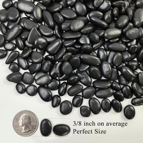 Image of FANTIAN 10 lbs Small Black Pebbles for Indoor Plants. 3 /8 inch Decorative Black River Rocks for Succulent Potted Plant, Vase, Landscaping and Outdoor Garden Rocks